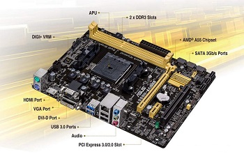 Asus FM2 A88XM-A